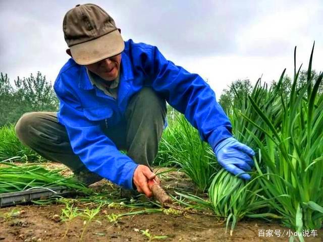 着急了,从想赚一套学区房到现在被套牢,老胡表示,谁再骂老胡是韭菜,就