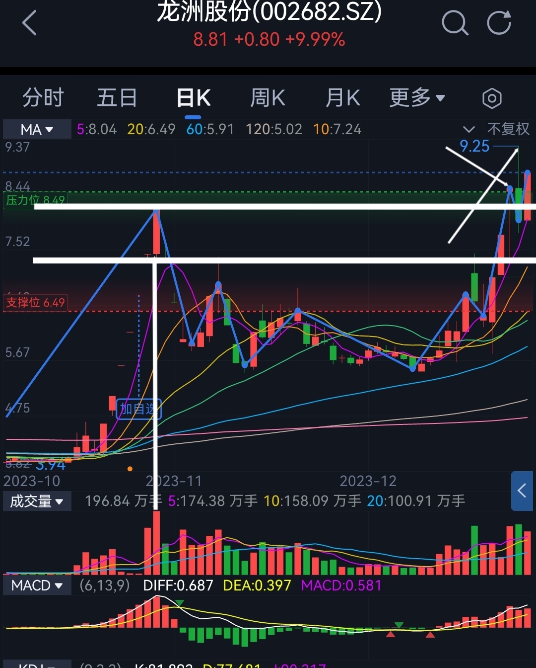 新年新氣象好運一整年