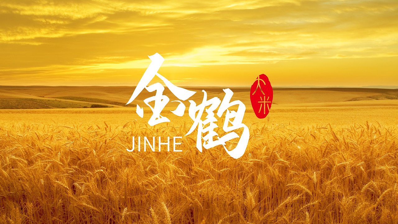 金鹤预制饭st最强不服来战