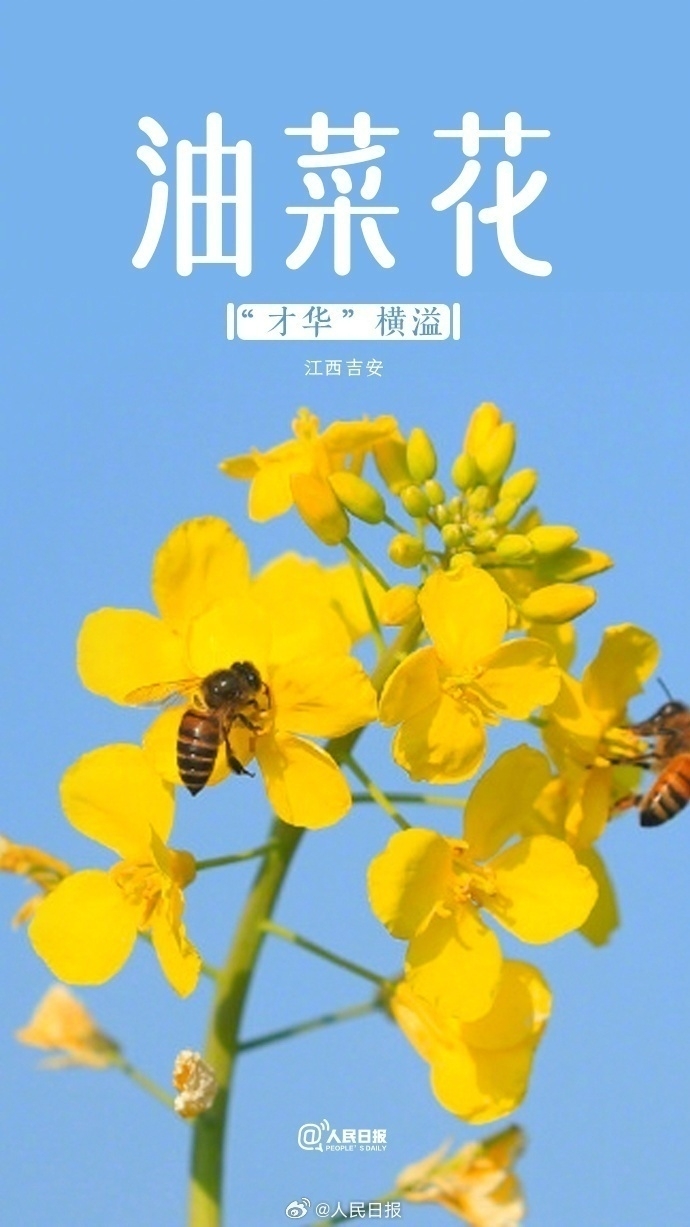 美元指数将强势上攻