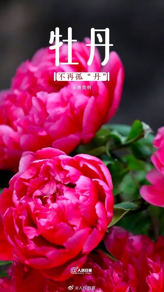 美元指数将强势上攻