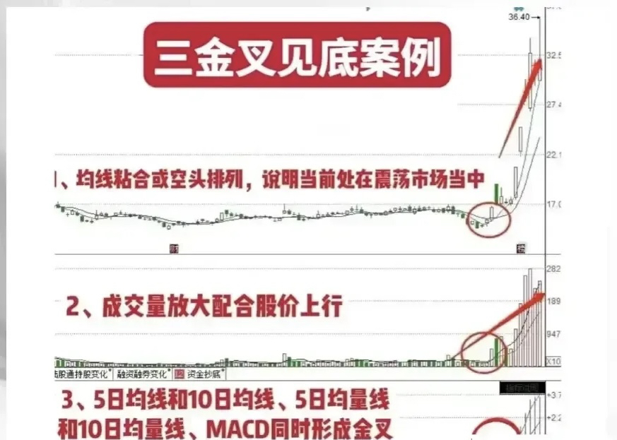 猎鹰歼狐金叉形态解读图片