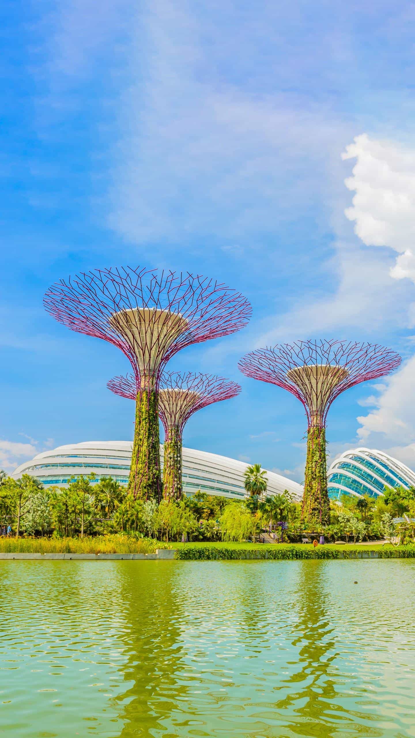 赵老哥(赵强):银河证券绍兴,中信证券 淮海中路,银河证券绍兴解繁北