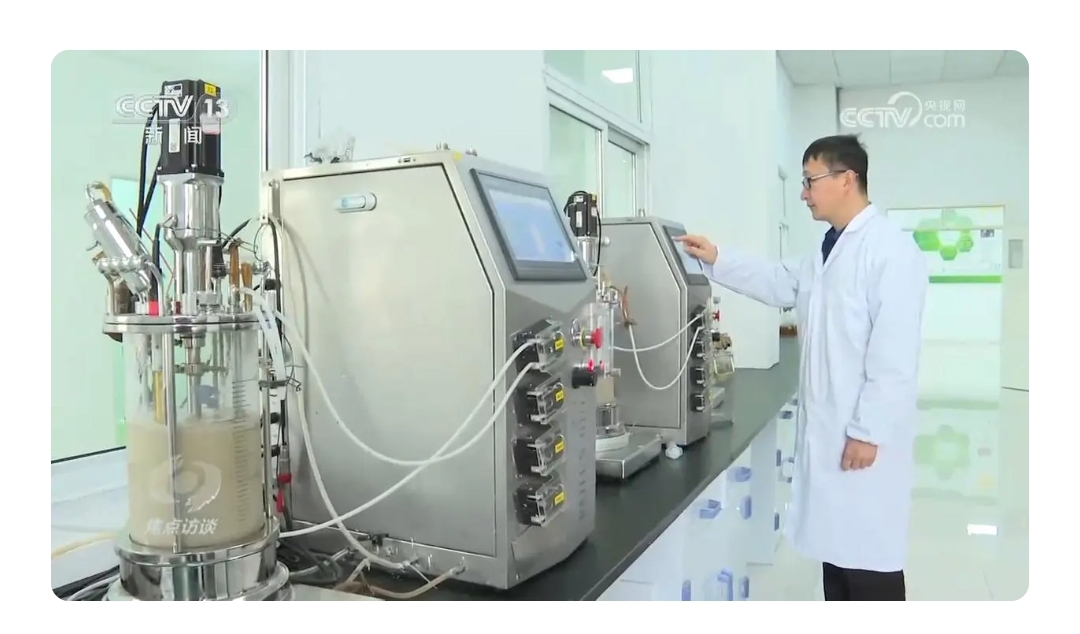 焦点访谈发展新质生产力生物制造制造万物