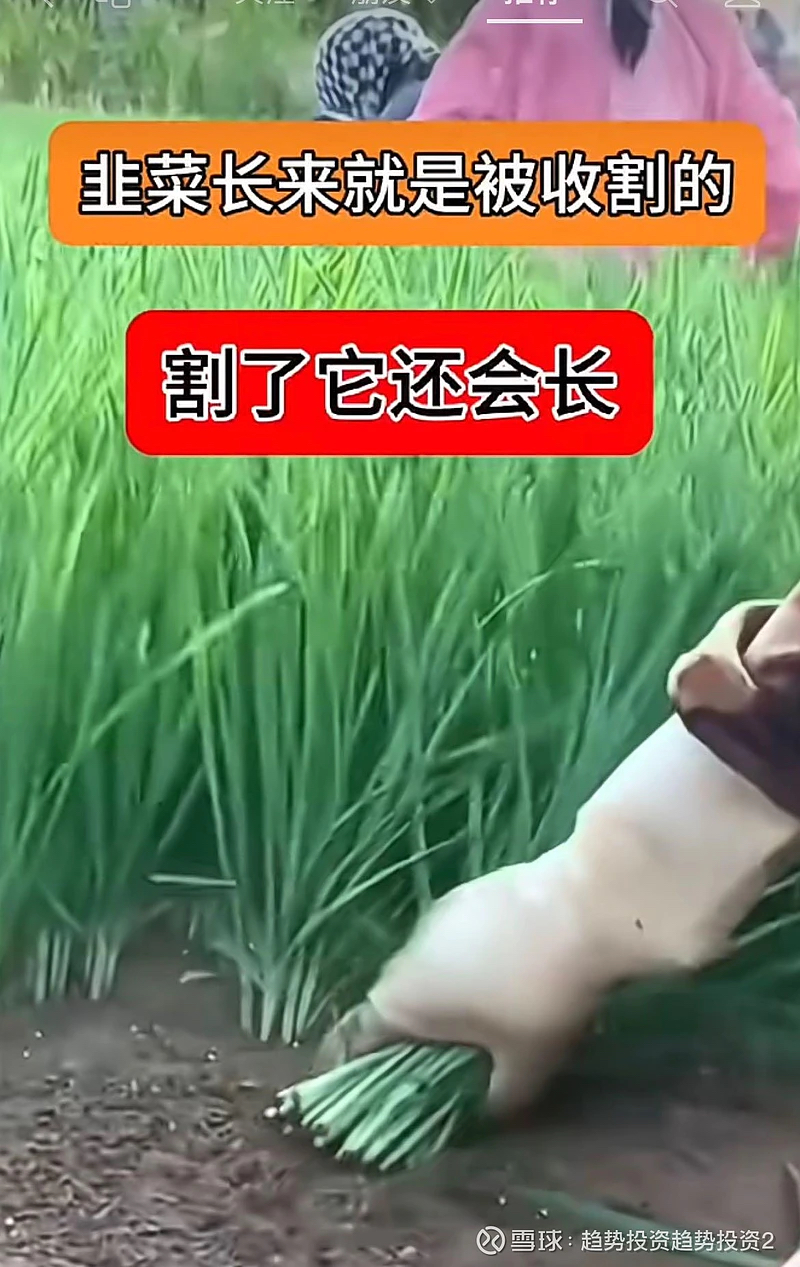 牛市什么时候来原创郭嘉字奉孝繁花讲的是中国第一波股民的故事1990年