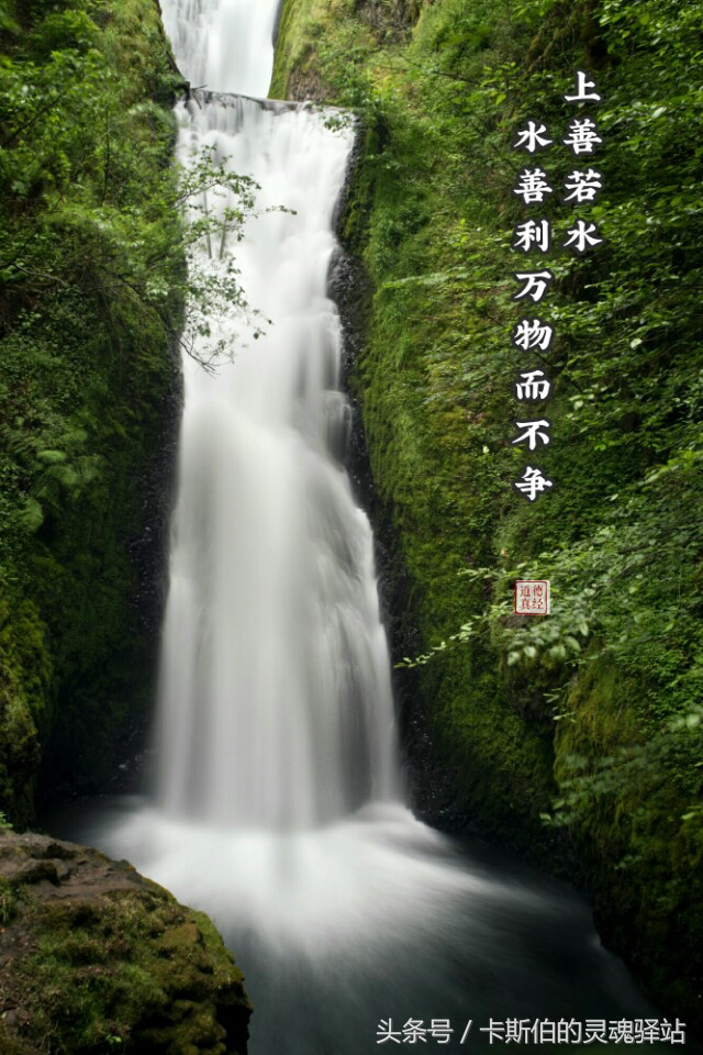 不争水无常形顺势而为为而不争