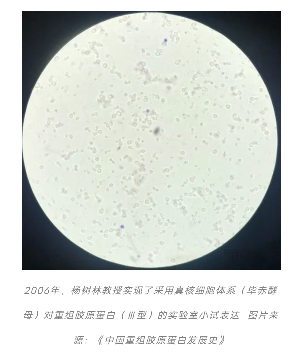 激荡25年中国重组胶原蛋白的沉浮往事