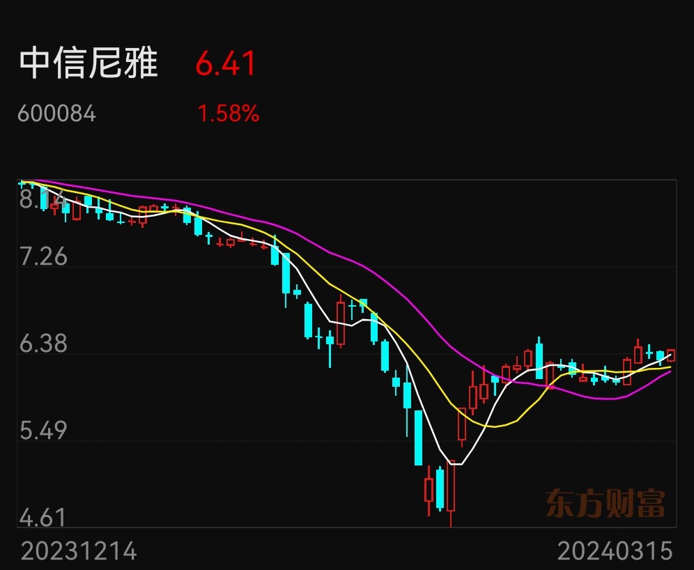 牛市已来了尼雅加油