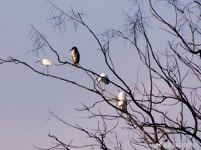 华为p70系列硬件提升详解影像功能提升是重中之重