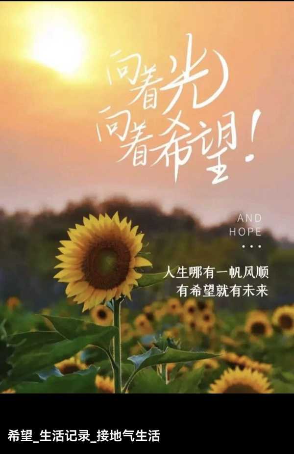 勤能补拙是良训,一分辛苦一分才.奋战过而失败,强于根本未战.