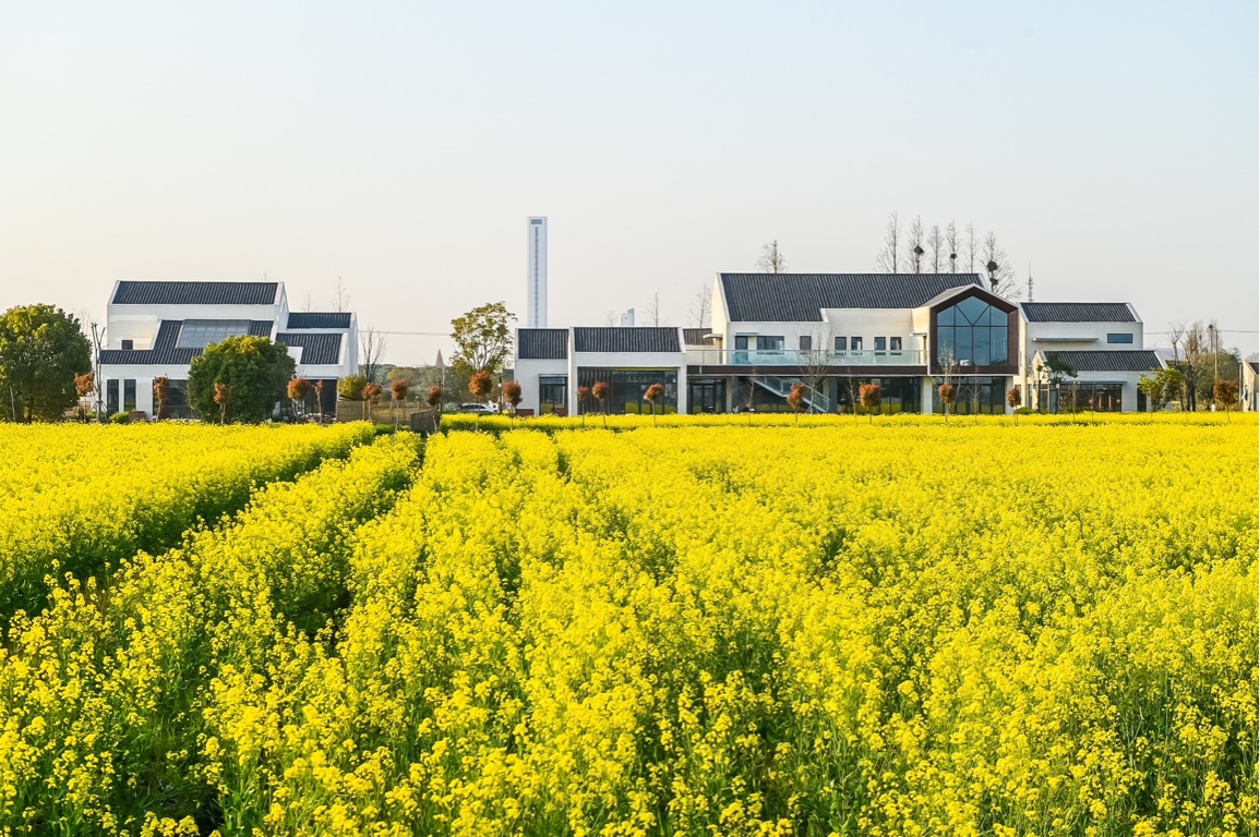花米庄行作为文旅农食餐零科品牌消费线和产城园企