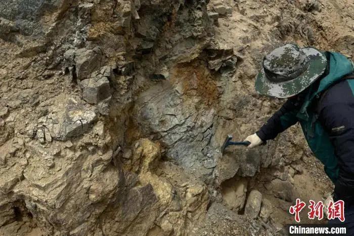 图为青海省柴达木南北缘大型超大型金矿深部资源预测研究项目组正在开展野外勘测。