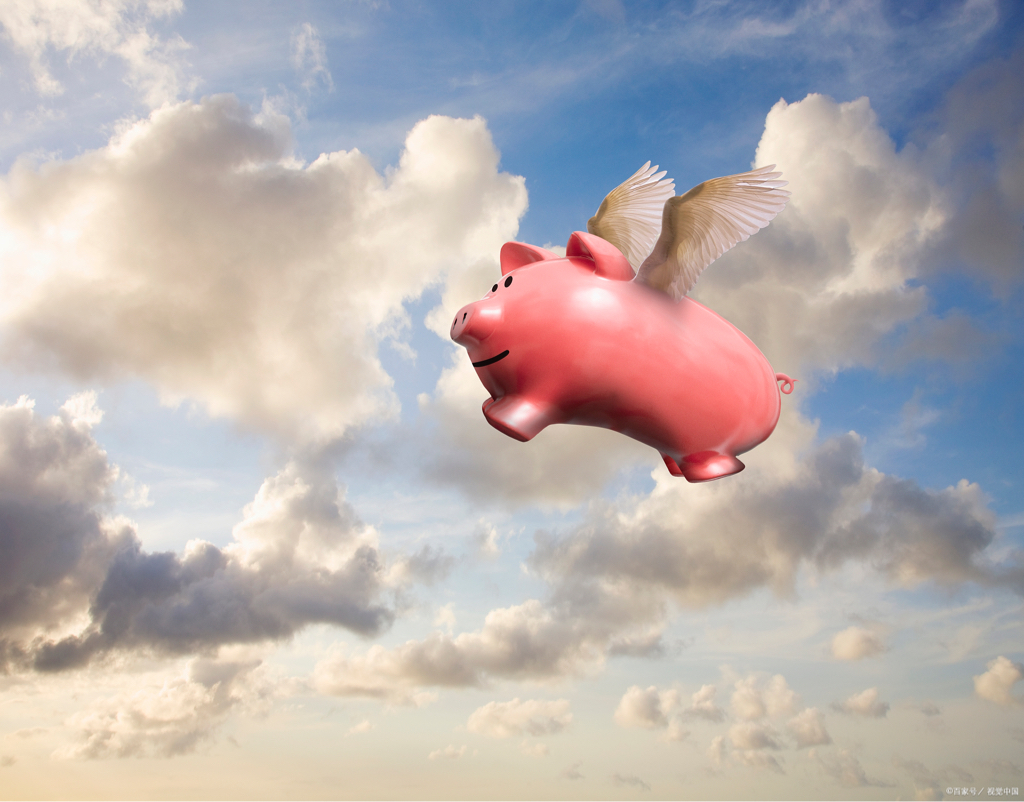 长了翅膀的猪