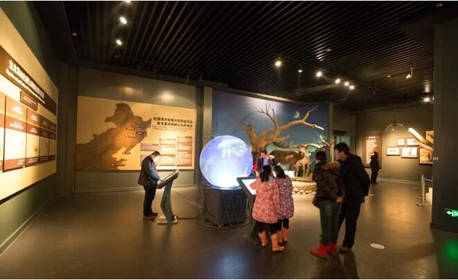 大庆博物馆图集-如何用智能科技展馆建设方案让博物馆"活"起来