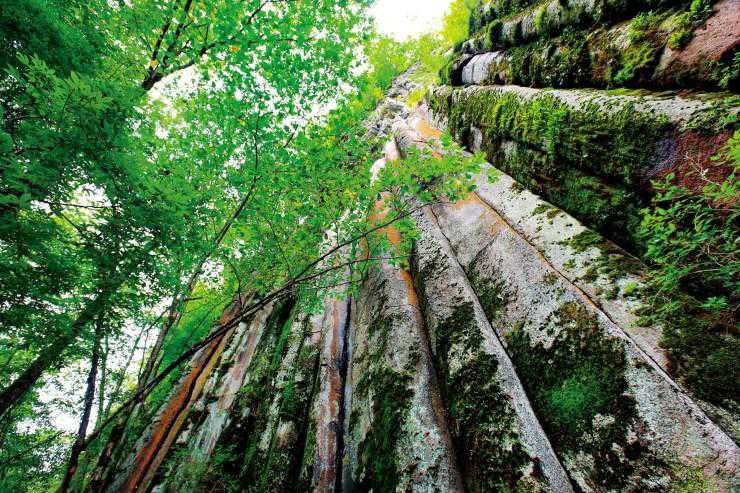 广西十万山泉水饮用天然泉水 源自广西十万大山原始森林腹地