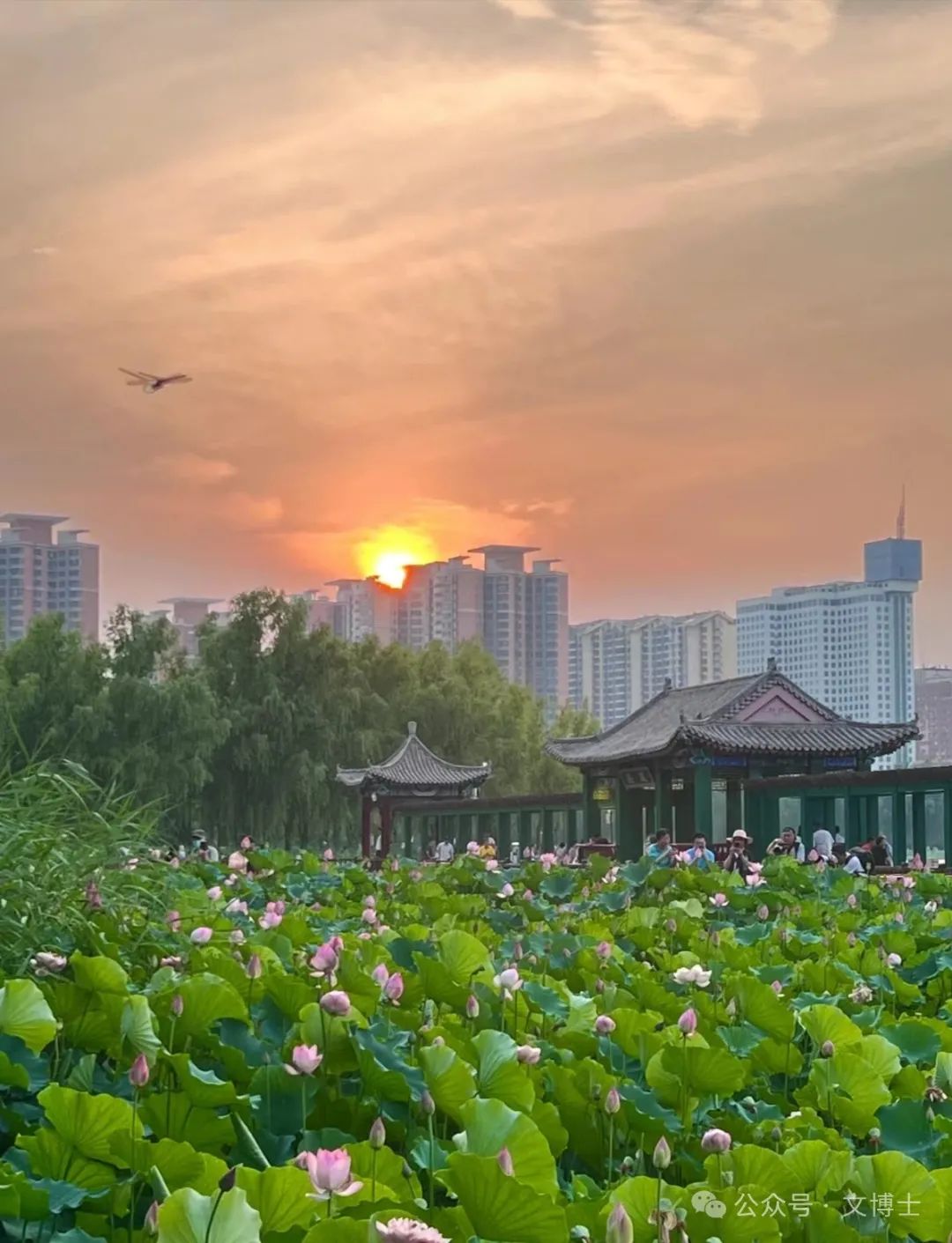 这些年我蹭过的饭——萍乡的刘婷