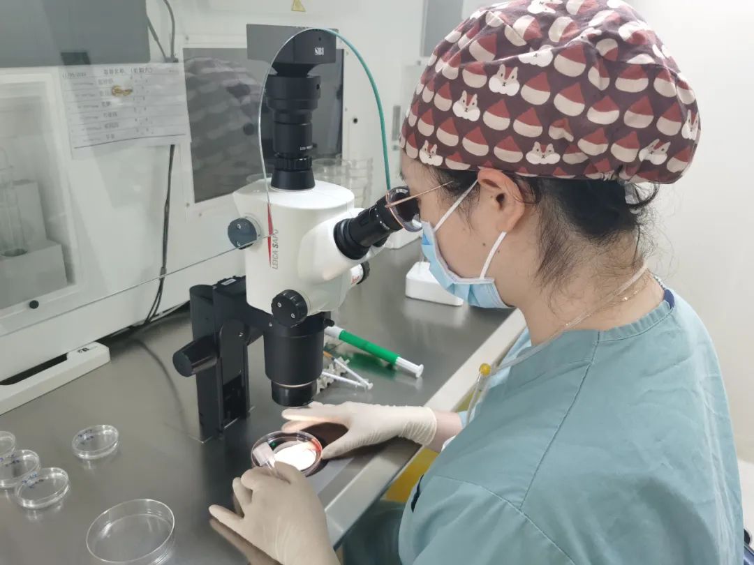 北京协和医院供图开展辅助生殖技术进医保,到底能为患者节省多少钱?