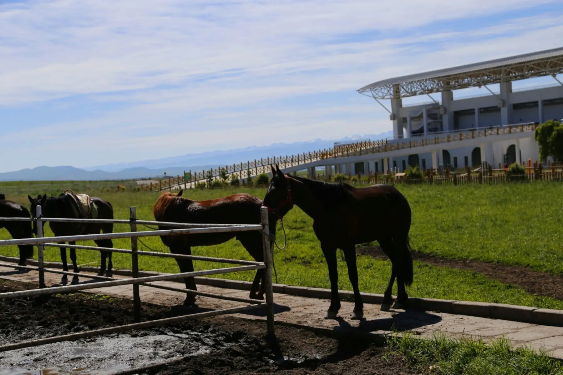 木垒县万马园生态养殖基地项目