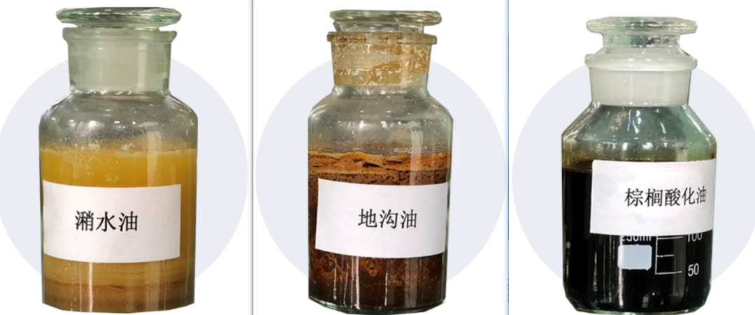 世界环境日|探秘烃基生物柴油:绿色能源的科技之光