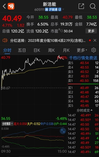 新洁能(605111)_股票价格_行情_走势图—东方财富网