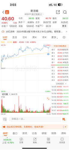 新洁能(605111)_股票价格_行情_走势图—东方财富网