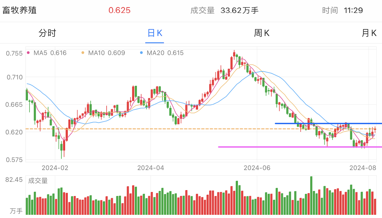 A graph of stock marketDescription automatically generated