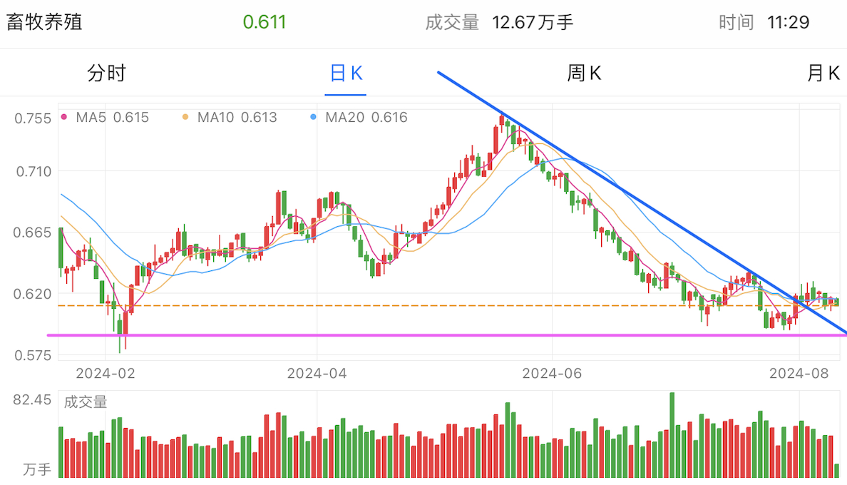 A graph of stock marketDescription automatically generated