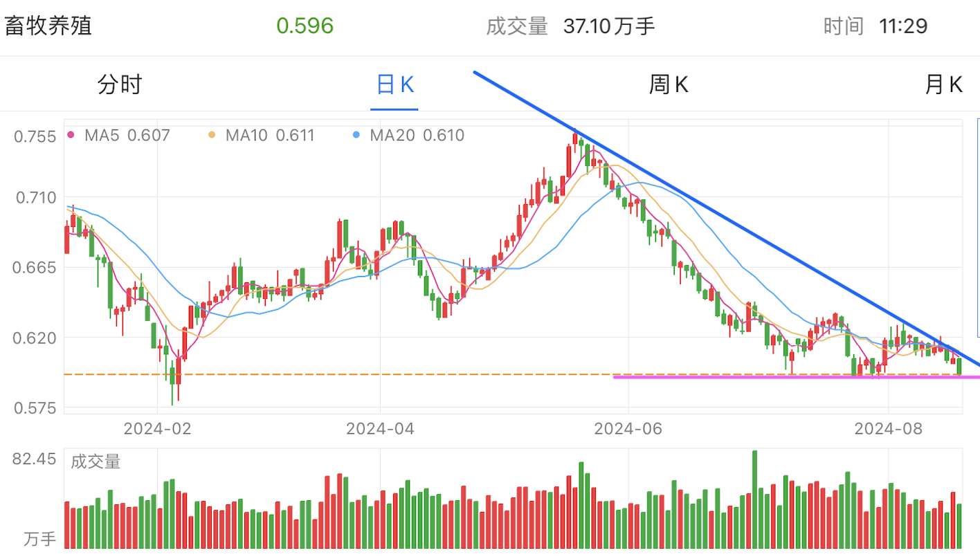 A graph of stock marketDescription automatically generated