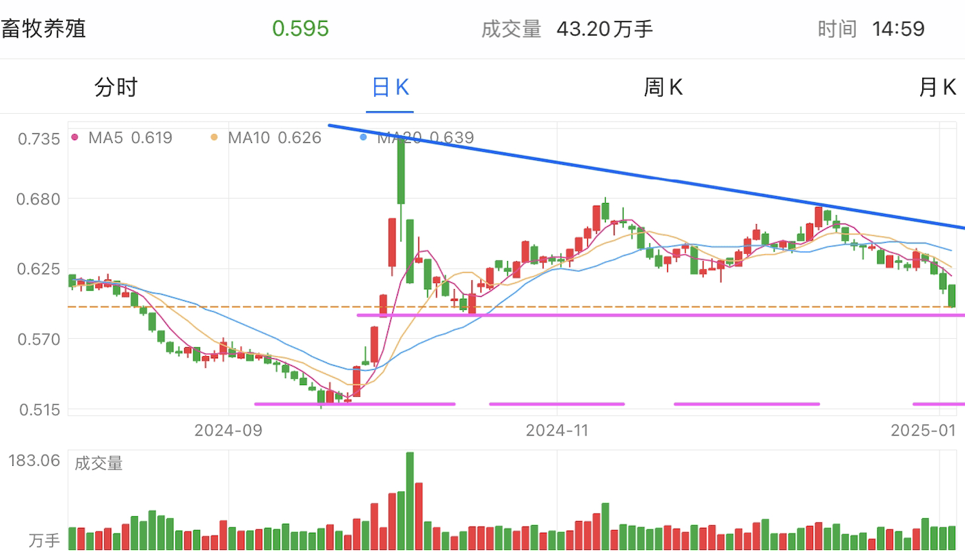 A graph of stock marketDescription automatically generated