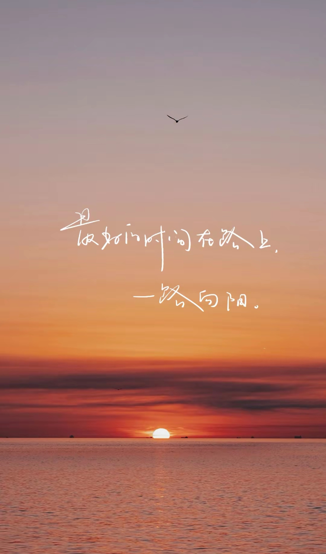 苦尽甘来终有时,一路向阳待花期
