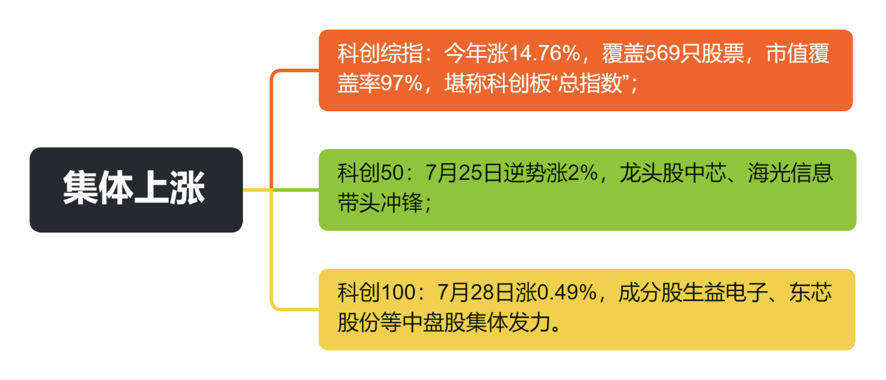 集体上涨
