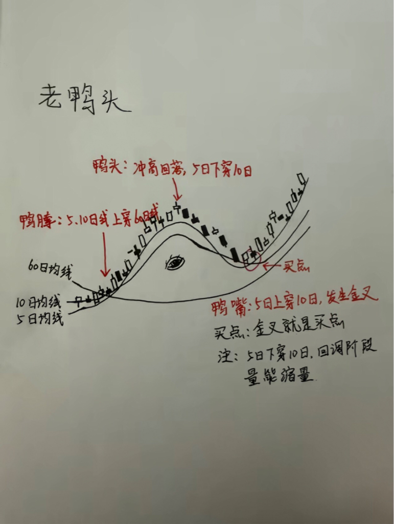 鸭头一张,黄金万两,千金难买老鸭头。明天的走势很关键,要么突破100,要么来一根_广立微(301095)股吧_东方财富网股吧