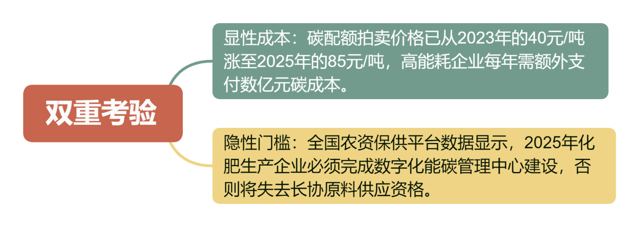 双重考验
