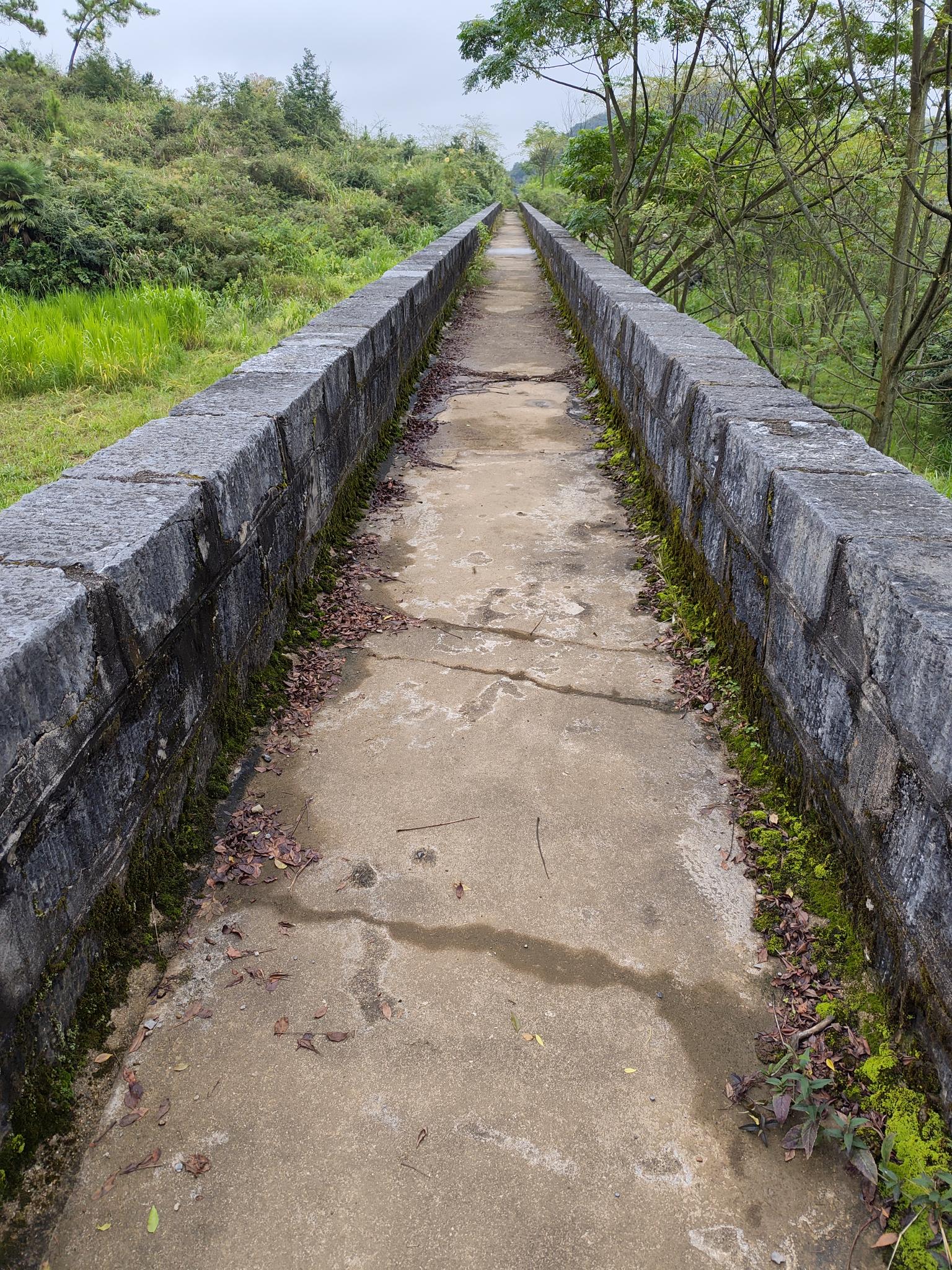 政策喂饭确定性赛道_2025年A股结构性机会_2025股票配资好做吗