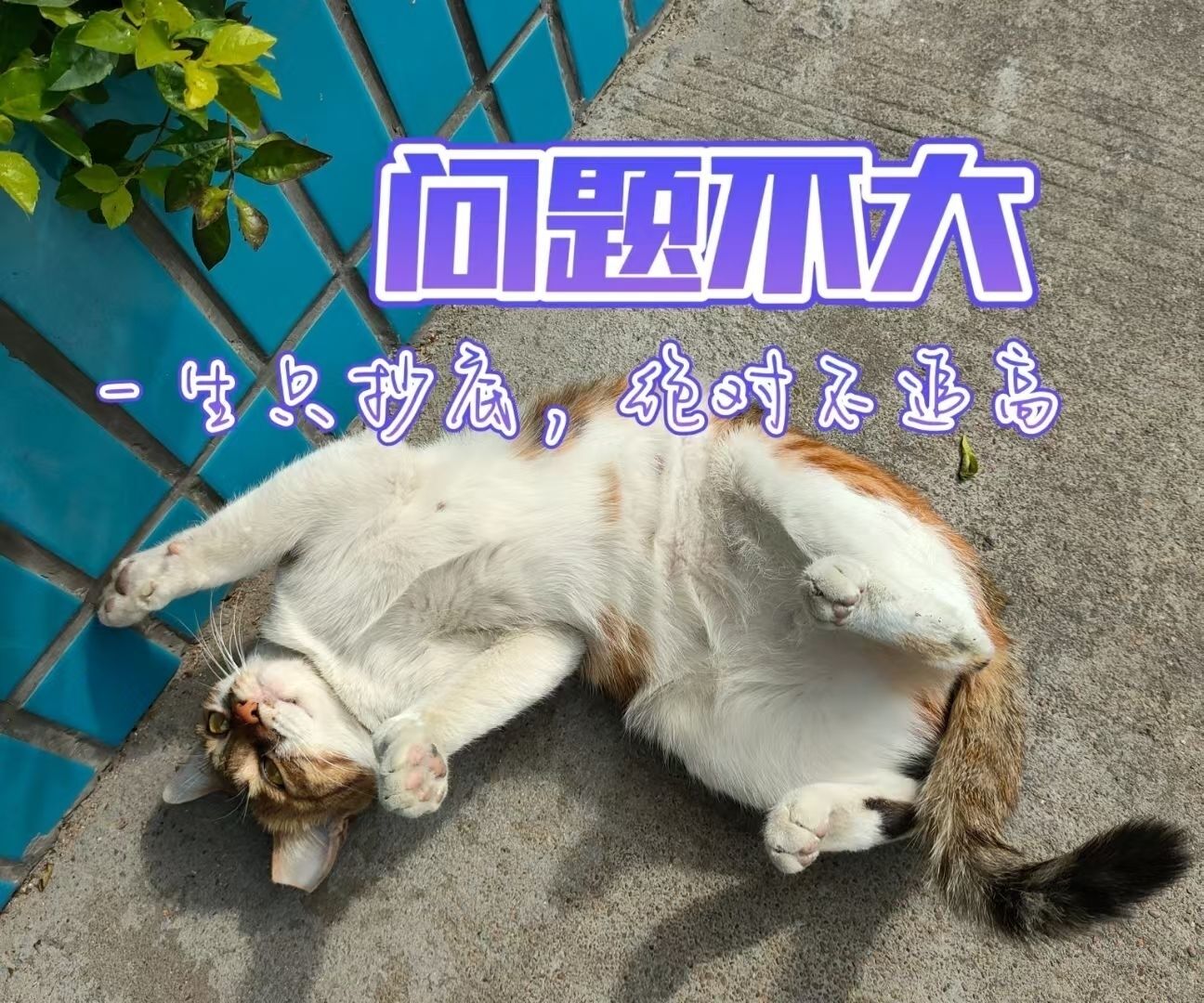 股给我智慧给我胆，千难万险只等闲。为薅庄先把庄家扮，似尖刀插进各均线。誓把各种托_华昌达(300278)股吧_东方财富网股吧