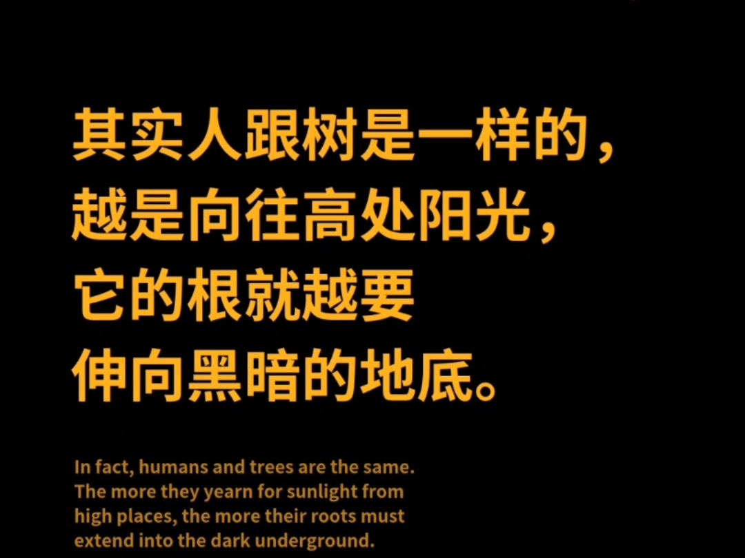 渡人先渡己,其实人和树是一样的越是想要高处的阳光,它的根越是需要伸向黑暗的地底!_财富号_东方财富网