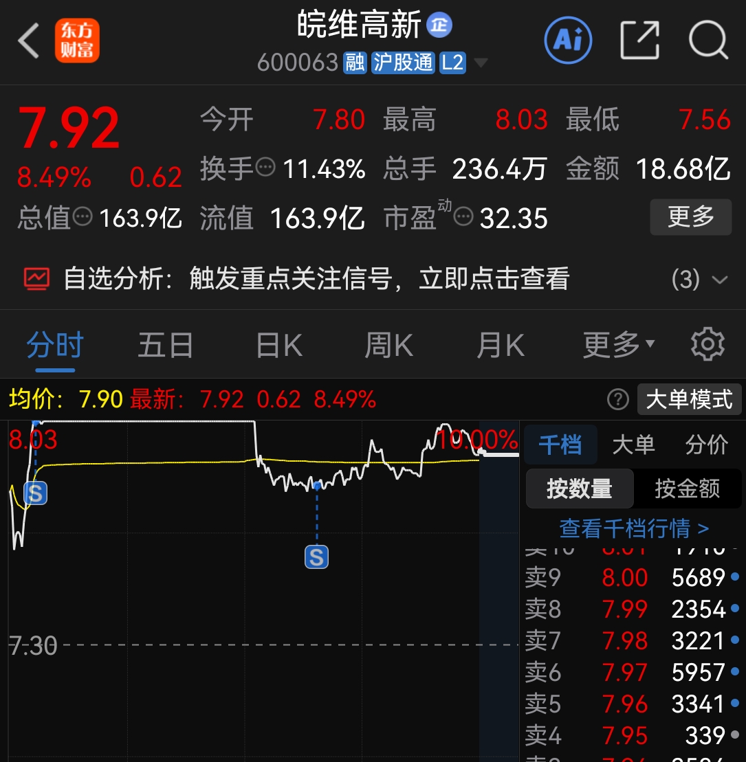 昨天水下进的，15个点，跑路，明天要埋人了_皖维高新(600063)股吧_东方财富网股吧
