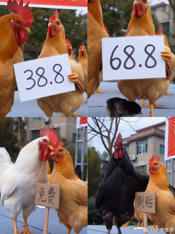 等比图