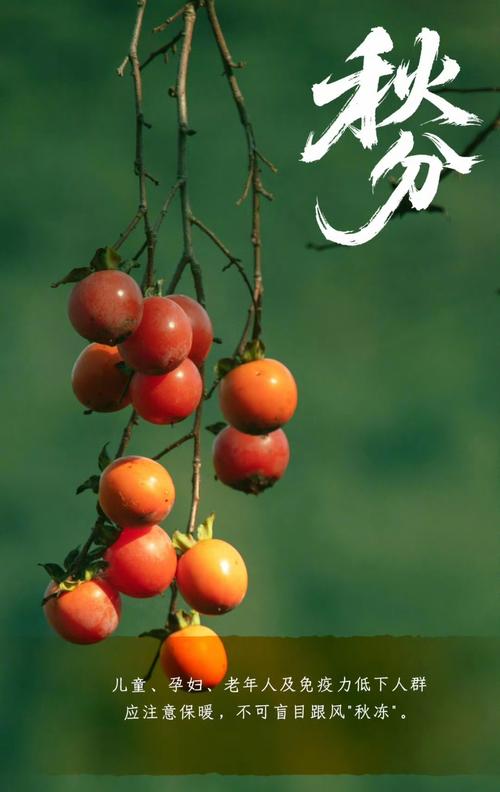 洪七公的降龙18掌在你手上能虎虎生威吗？