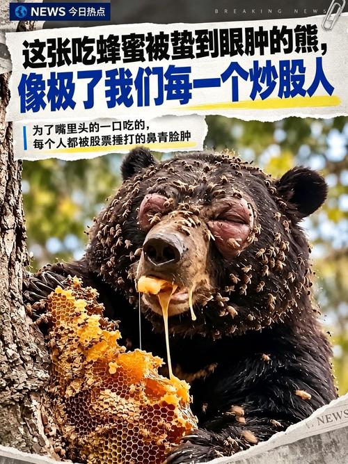 满身伤痕仍向往那口“蜂蜜”