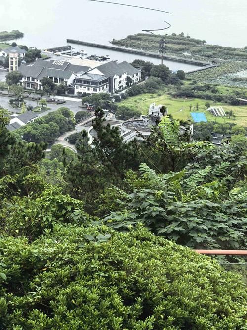文峰光电我的申购策略